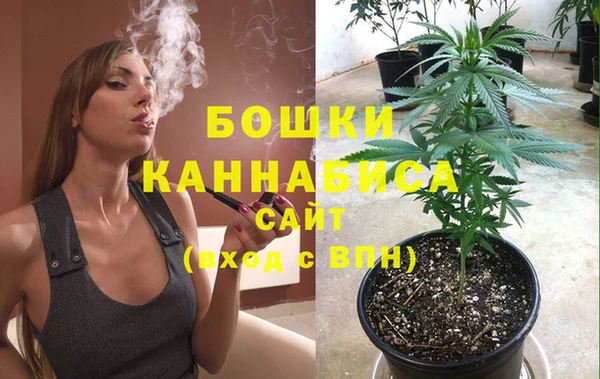 PSILOCYBIN Киреевск