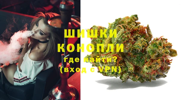 ГАЛЛЮЦИНОГЕННЫЕ ГРИБЫ Кинешма