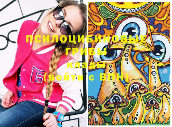 ГАЛЛЮЦИНОГЕННЫЕ ГРИБЫ Кинешма