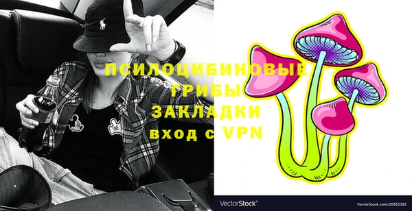 PSILOCYBIN Киреевск