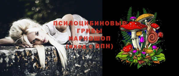 mdpv Киренск