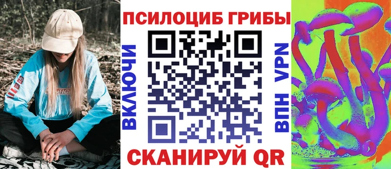 Купить закладки  Зеленокумск  Галлюциногенные грибы Cubensis 